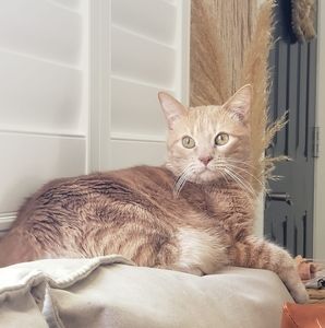 Meet your Posher, Mimi